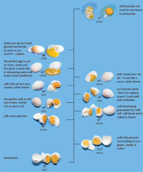 eggchartsousvide